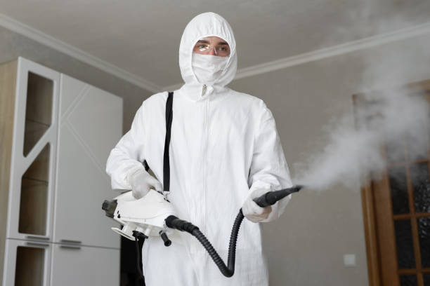 Best Emergency Mold Remediation  in Malta, IL