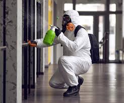 Best Comprehensive Air Testing for Mold Contaminants  in Malta, IL